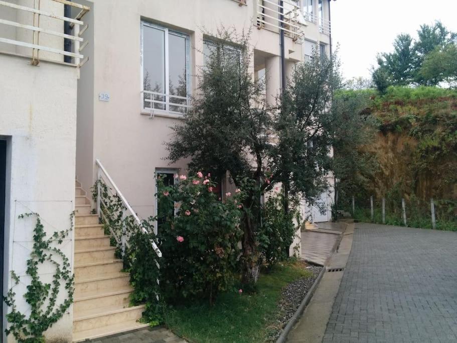 Exclusive Apartment Tiranë Ngoại thất bức ảnh